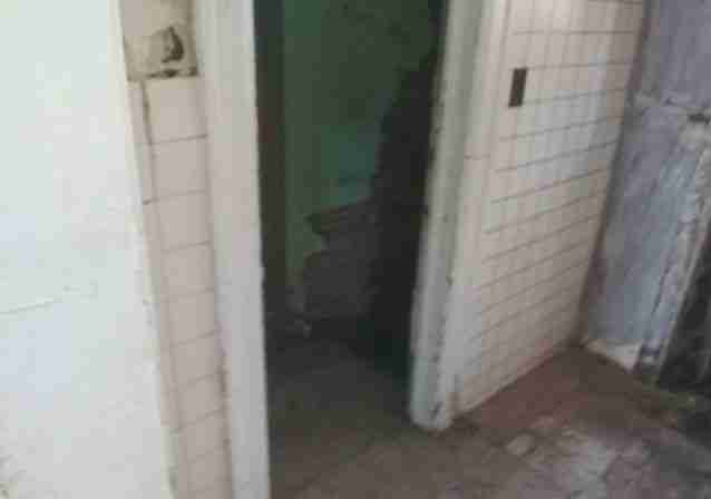 4308 Tyler 2-14-19 20.jpg